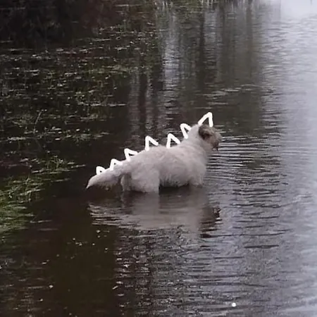 Maison De Village, A La Semaine Min, Bord De Prázdninový dům